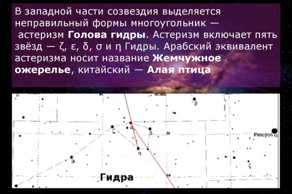 Официальный сайт даркнета