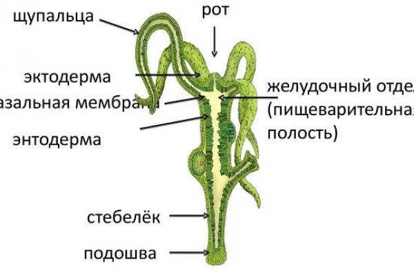 Можно ли восстановить аккаунт в кракен даркнет