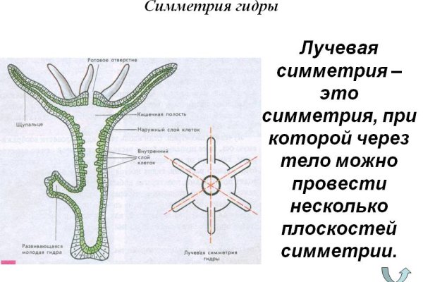 Сайт кракен тор браузера